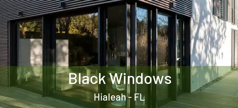  Black Windows Hialeah - FL