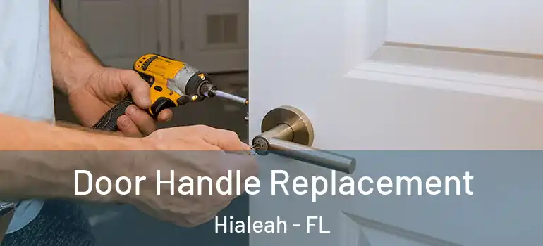  Door Handle Replacement Hialeah - FL