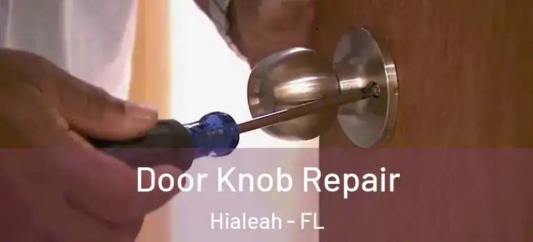  Door Knob Repair Hialeah - FL
