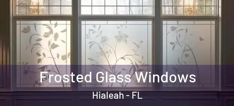  Frosted Glass Windows Hialeah - FL