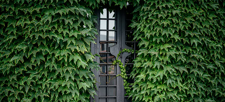 Garden Gate Repair in Hialeah, FL