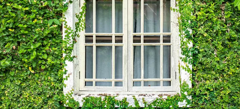 Garden Window Repair Near Me in Hialeah, FL