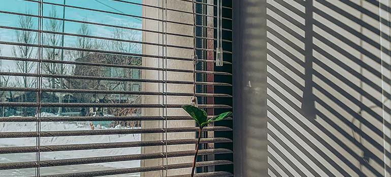 Commercial Window Blinds in Hialeah, FL