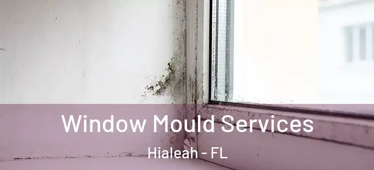 Window Mould Services Hialeah - FL